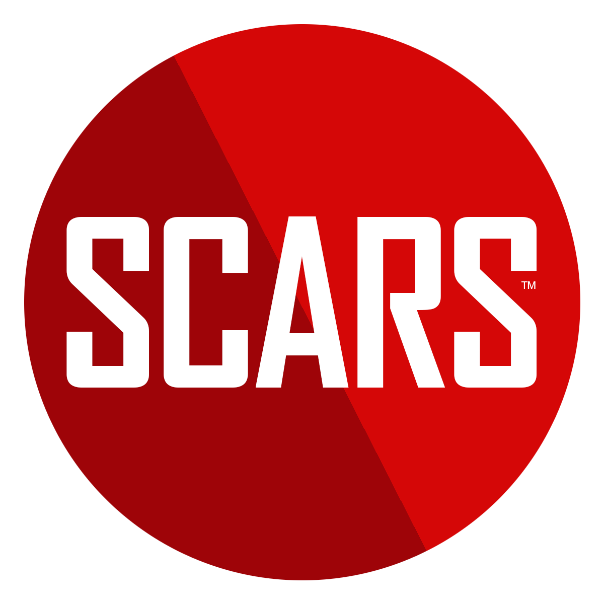 SCARS Education – a SCARS INSTITUTE Website – SCARS Anti-Scam/Fraud Learning Logo